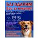 Healthy Tail Pork pork 500 gr. A treat for dogs - Buy Online on GoSupps.com