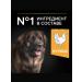 PRO PLAN Dry food for powerful krep dogs chicken 14 kg - Buy Online on GoSupps.com
