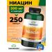 Swanson Niacin 500 mg vitamin B3 for Niacin energy and heart 250 pcs