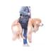 Walking straps for dogs m - Buy Online on GoSupps.com