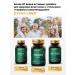 EVINWAVE B vitamins Complex 60 capsules - Buy Online on GoSupps.com
