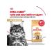 ROYAL CANIN Dry food for adult cats of the breed Main Kun 2 kg - Buy Online on GoSupps.com