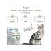 Alleva Dry food for cats Holistic fish 10 kg - Buy Online on GoSupps.com