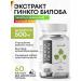 Ginkgo biloba extract 1 pc