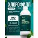 GST GreenSanTe Chlorophyll liquid food for weight loss 500ml