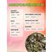 ONE2SHOP Herbal tea health - Buy Online on GoSupps.com