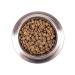 MONGE Dry food mini puppy for small breeds of 2.5 kg - Buy Online on GoSupps.com