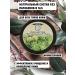 Body scrub "Restoring" fir - Buy Online on GoSupps.com