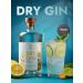 Tinctura Anima Non -alcoholic drink Dry Gin 700 ml