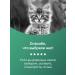 Organix A set of treats for cats pieces of beef fillet 5 pcs x50g - Buy Online on GoSupps.com