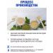 EcoLive Protein is sunflower - Buy Online on GoSupps.com