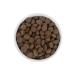 SAVITA Dog food 4 kg - Buy Online on GoSupps.com
