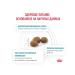 ROYAL CANIN Feed for medium and large dogs with food allergies 1.5 kg - Buy Online on GoSupps.com