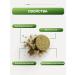 Gordeev Antiparasitic complex liver liver + parasites of the stop - Buy Online on GoSupps.com