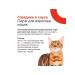 Organix Cat food 85 g x 24 pcs - Buy Online on GoSupps.com