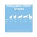 Country delicacies Webel brush your teeth for cats cream pillows - Buy Online on GoSupps.com