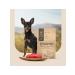 SAVITA Dog food 15 kg - Buy Online on GoSupps.com
