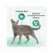 Organix Cat food 10 kg - Buy Online on GoSupps.com
