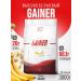 2SN Gainer for a quick set of mass banana 3kg
