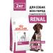 ROYAL CANIN for dogs Renal 2 kg