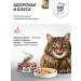 Just Cat Wet food for cats with beef 100 g x 6pcs - Buy Online on GoSupps.com