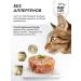 Just Cat Wet food for cats with chicken and rabbit 100 g x 6 pcs - Buy Online on GoSupps.com