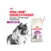 ROYAL CANIN Sensible 33 for Dry Cat 4 kg - Buy Online on GoSupps.com