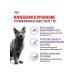 ROYAL CANIN for sterilized cats 7+ dry 3.5 kg - Buy Online on GoSupps.com