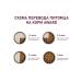 AWARD Dry food for puppies turkey and chicken 2 kg - Buy Online on GoSupps.com