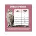 BOWL WOW Dry food for cats with turkey and beets 4 kg - Buy Online on GoSupps.com