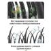 Coconut shampoo against hair loss - Buy Online on GoSupps.com