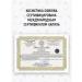 SIBERINA Natural green clay tonic - Buy Online on GoSupps.com