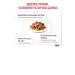 ROYAL CANIN Wet food (Renal for cats) Renal with chicken 85g x 28pcs - Buy Online on GoSupps.com