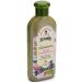 Grandma Agafia's Recipes Shampoo-collection against hair loss 350 ml