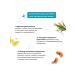 PLANETA ORGANICA Scrub Tropikal Ticket to Bahamas Moisturizer for Body 250 g - Buy Online on GoSupps.com