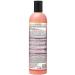 Natura Siberica Taiga shampoo Restoration of damaged hair 400 ml - Buy Online on GoSupps.com