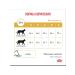 ROYAL CANIN Cat food Therapeutic Urinary S o Moderate Calorie 350 g - Buy Online on GoSupps.com