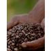 Lucaffe Coffee in grains mamma Lucia 1 kg - Buy Online on GoSupps.com