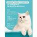 Spets Shampoo for dogs and cats against dandruff and itching 400 ml - Buy Online on GoSupps.com