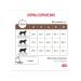 ROYAL CANIN Dry diet feed for cats Hepatic 350 g - Buy Online on GoSupps.com