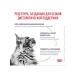 ROYAL CANIN Sterilized cats Neuthed Satiety Balance 300g - Buy Online on GoSupps.com