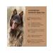 REWARD Carnation Kurins for dogs 35 g 3 pcs - Buy Online on GoSupps.com
