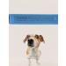 Aurexen Drops from fleas and ticks for dogs on a walker Effective 2 pcs - Buy Online on GoSupps.com