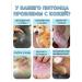 Spray against allergies and itching for dogs 100 ml - Buy Online on GoSupps.com