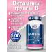 Haya Labs Vitamins of the group V. B-Basic. B1. B2. B6. B12. 100 Tabs
