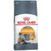 Royal Canin Hair & skin food for cats for the health of the skin sample 2kg