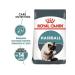 Royal Canin Hairball Care 2kg - Buy Online on GoSupps.com
