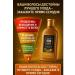 AEA94 Shampoo against hair loss strengthening with ginseng - Buy Online on GoSupps.com