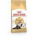 Royal Canin Dry Persian Adult for Persian cats 4 kg - Buy Online on GoSupps.com