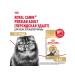 Royal Canin Dry Persian Adult for Persian cats 4 kg - Buy Online on GoSupps.com